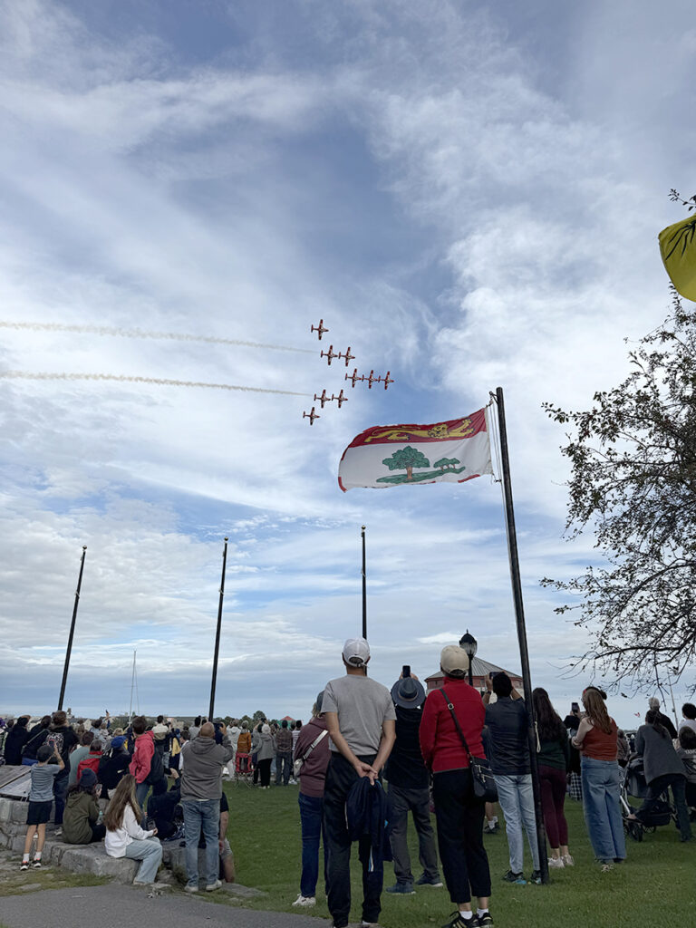 TW - Snowbirds - Kingston2 | Meridian Source Snowbirds