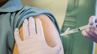 File - Vaccine Needle | Meridian Source