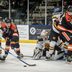 TW - BobcatsGrizzlysOct162 | Meridian Source